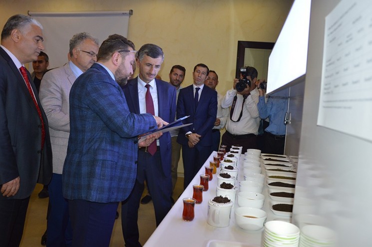çay borsasının yaş ve kuru çay fiyatlarındaki etkisi
