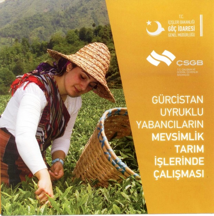 G�RC�STAN UYRUKLU YABANCILARIN MEVS�ML�K TARIM ��LER�NDE �ALI�MASI
