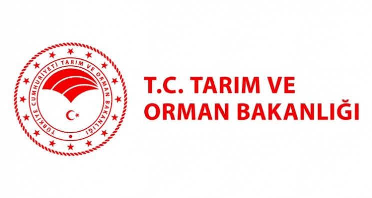III. TARIM �URASI