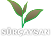 S�R�AYSAN